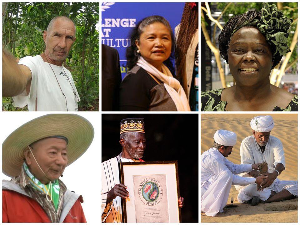 Những người hùng thầm lặng góp phần hồi sinh rừng